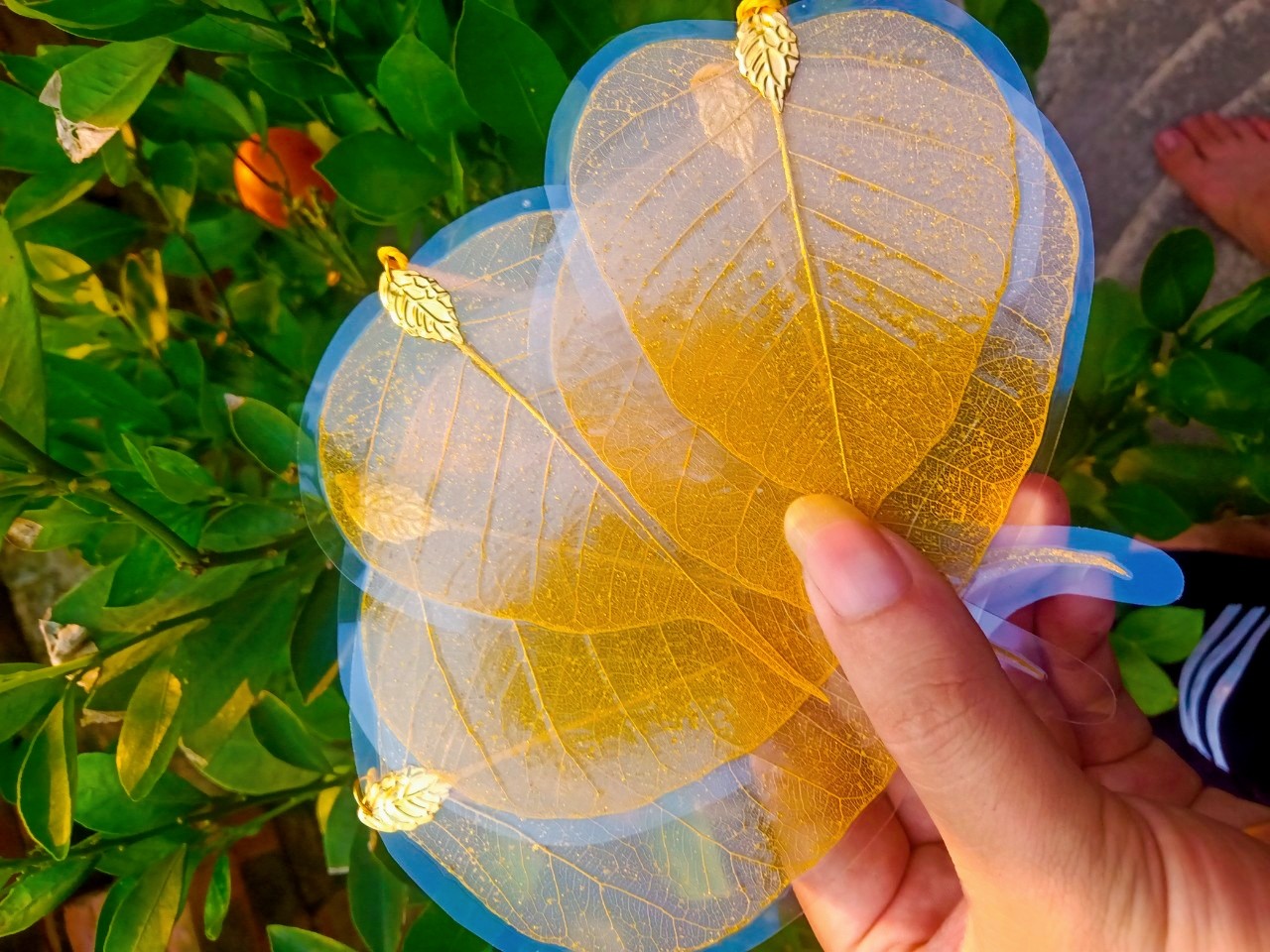 Lá bồ đề viết thư pháp đã ép sẵn có nẹp