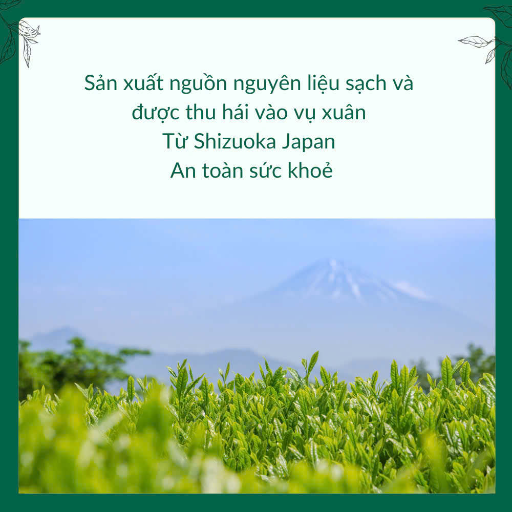 Bột Matcha Natsu Nhập Khẩu Chính Hãng Nhật Bản, Dùng Pha Chế Đồ Uống, Làm Bánh, Trà Đạo
