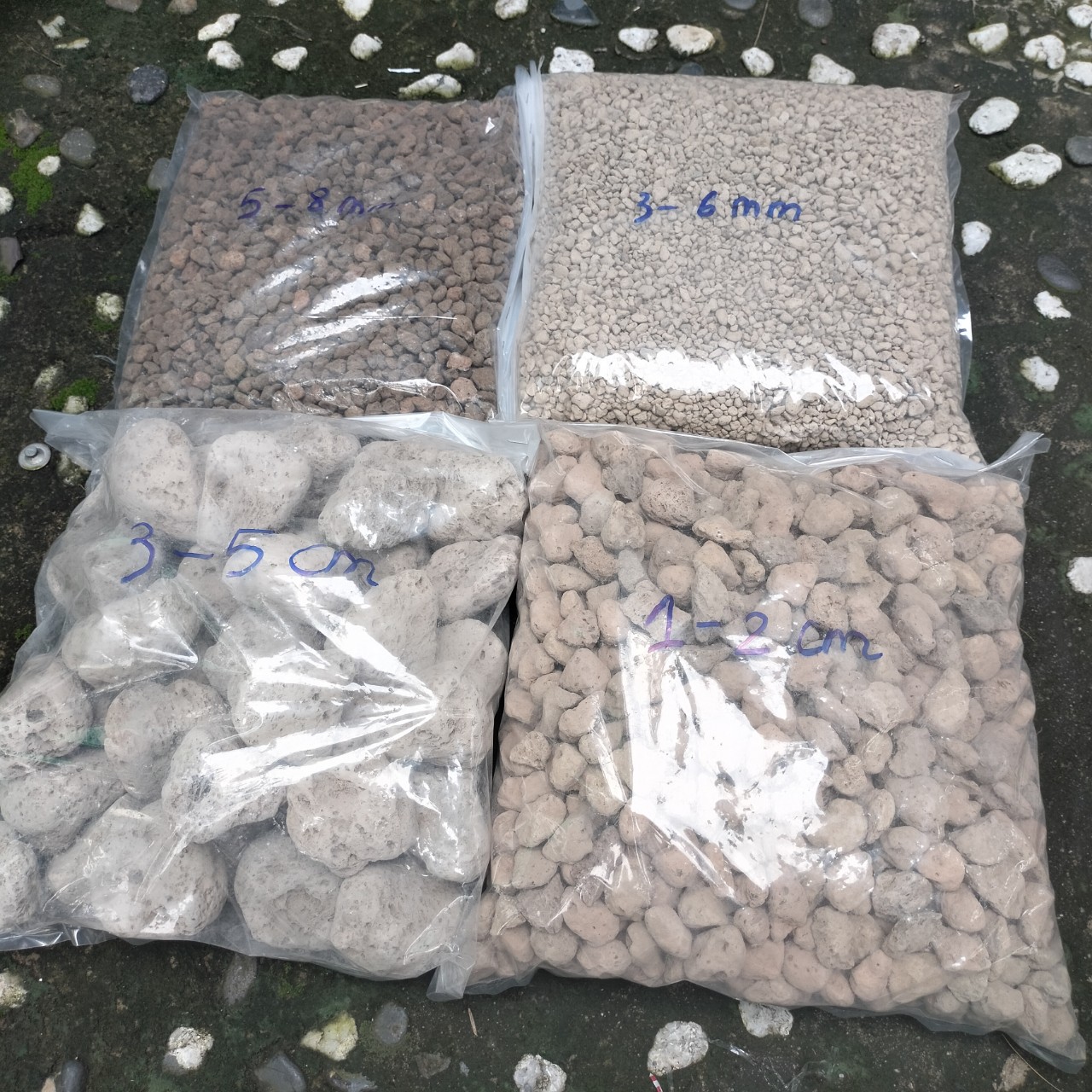 Đá bọt PUMICE trồng lan, sen đá, cây cảnh