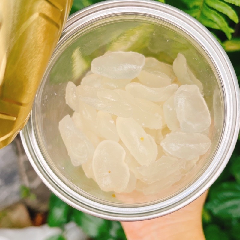Thốt Nốt Sấy Dẻo Thơm Ngon Đóng Lon Pet 450GR