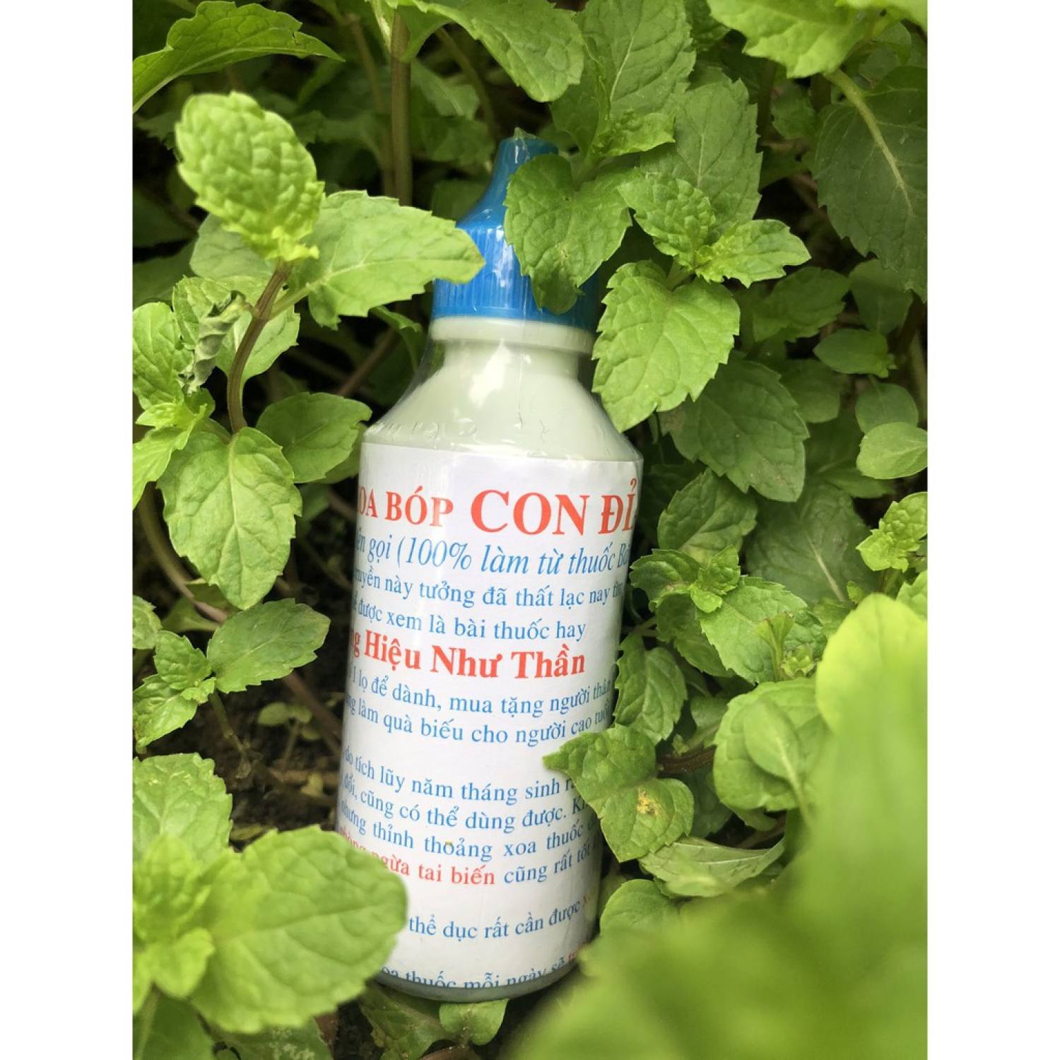 DẦU XOA BÓP CON ĐỈA, rượυ XOA BÓP CON ĐỈA