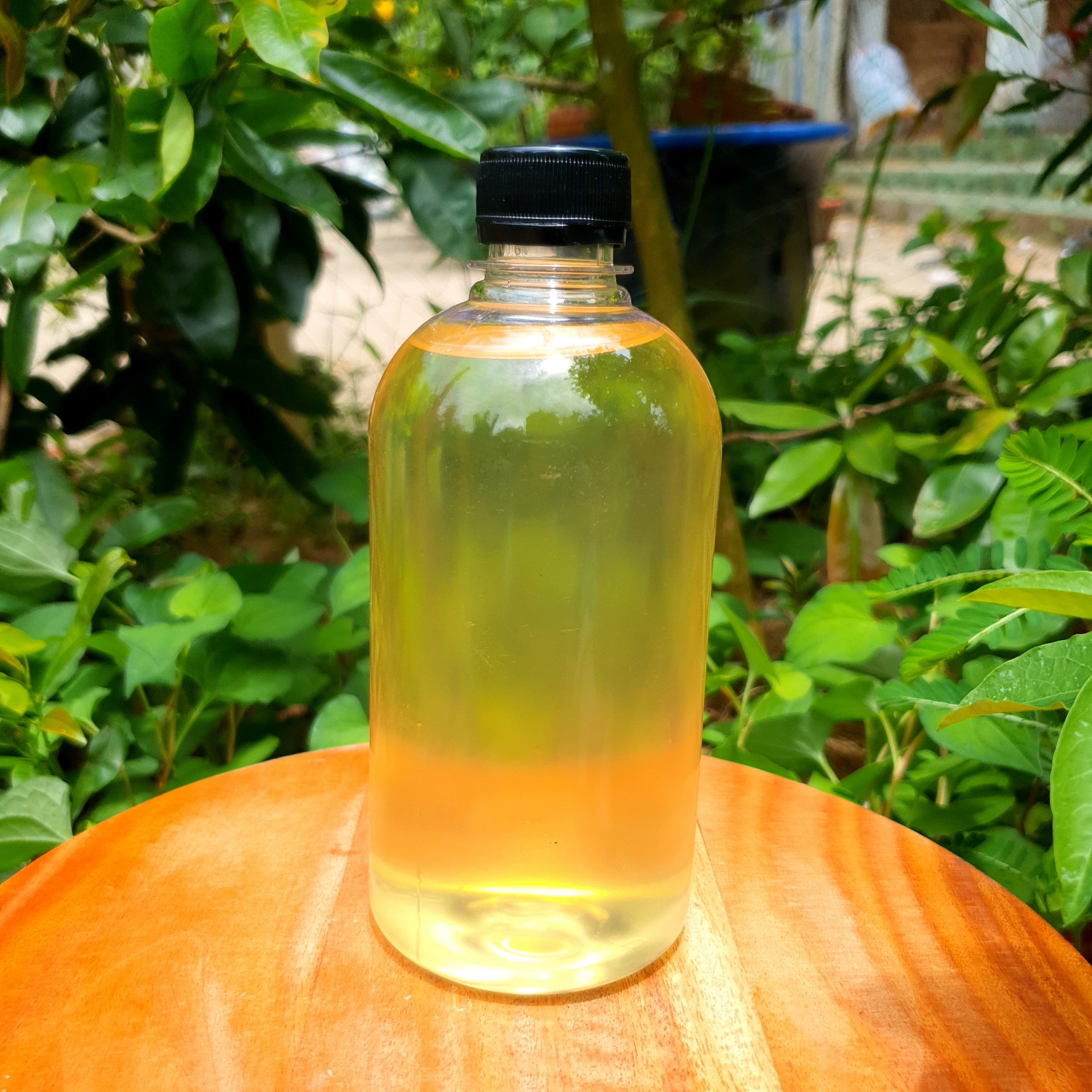 [Bến tre] Dầu Dừa Nấu Thủ Công Nhà Làm Chai 500ml