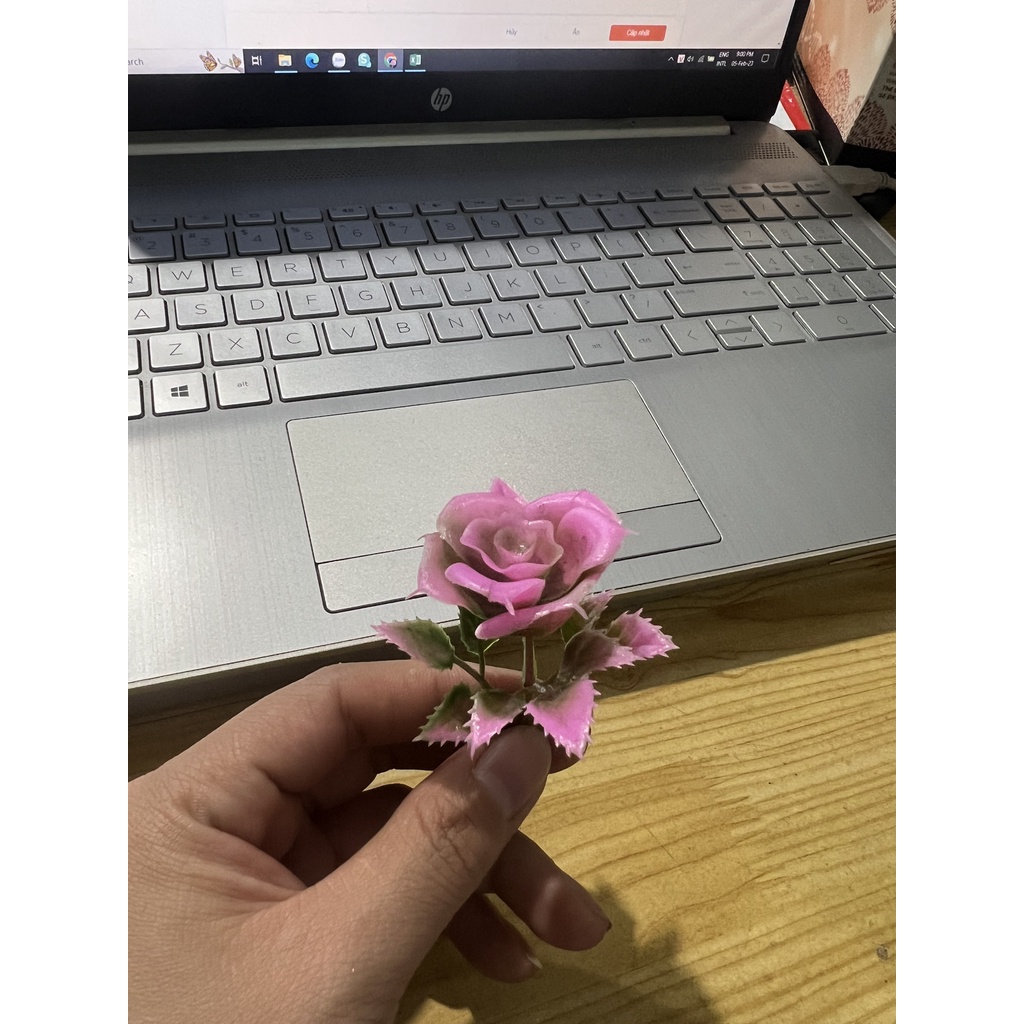 100gr hoa cỏ điểm trang trí - phần 1