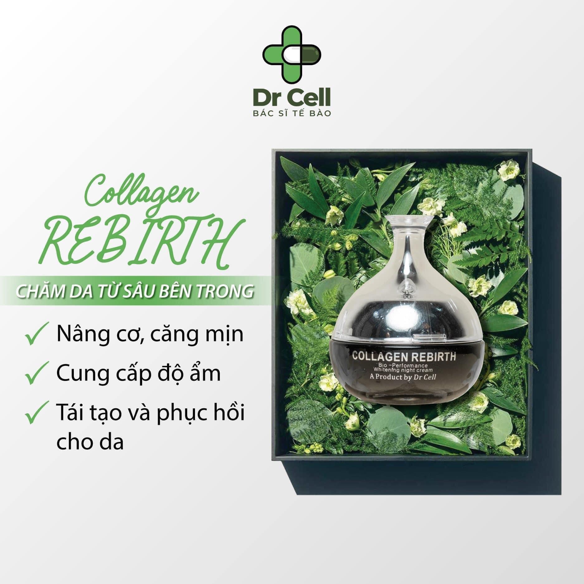 Kem Đêm Collagen Rebirth Dr Cell