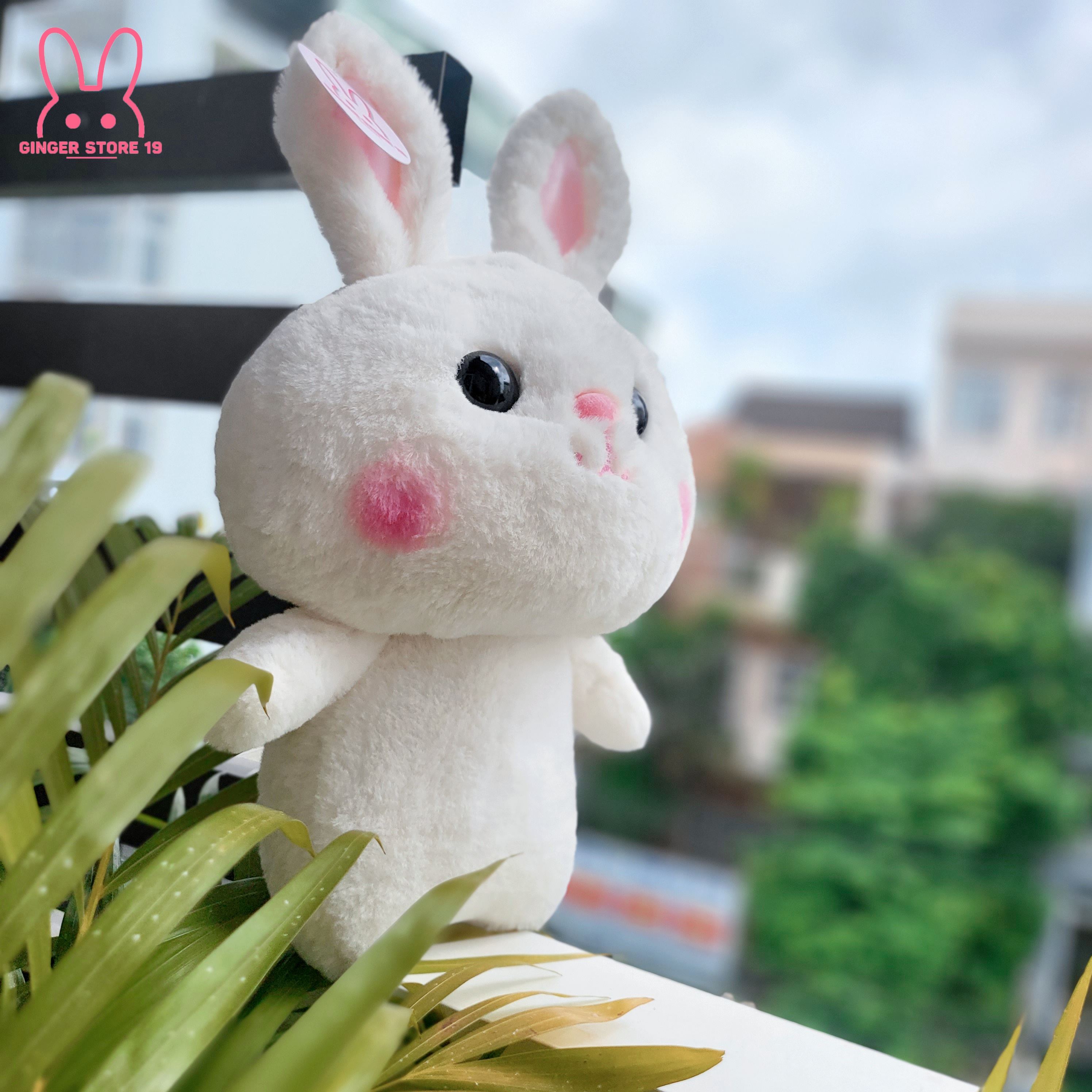 [Thỏ bông] Gấu bông thỏ mặc váy, áo đáng yêu (Thú nhồi bông thỏ)