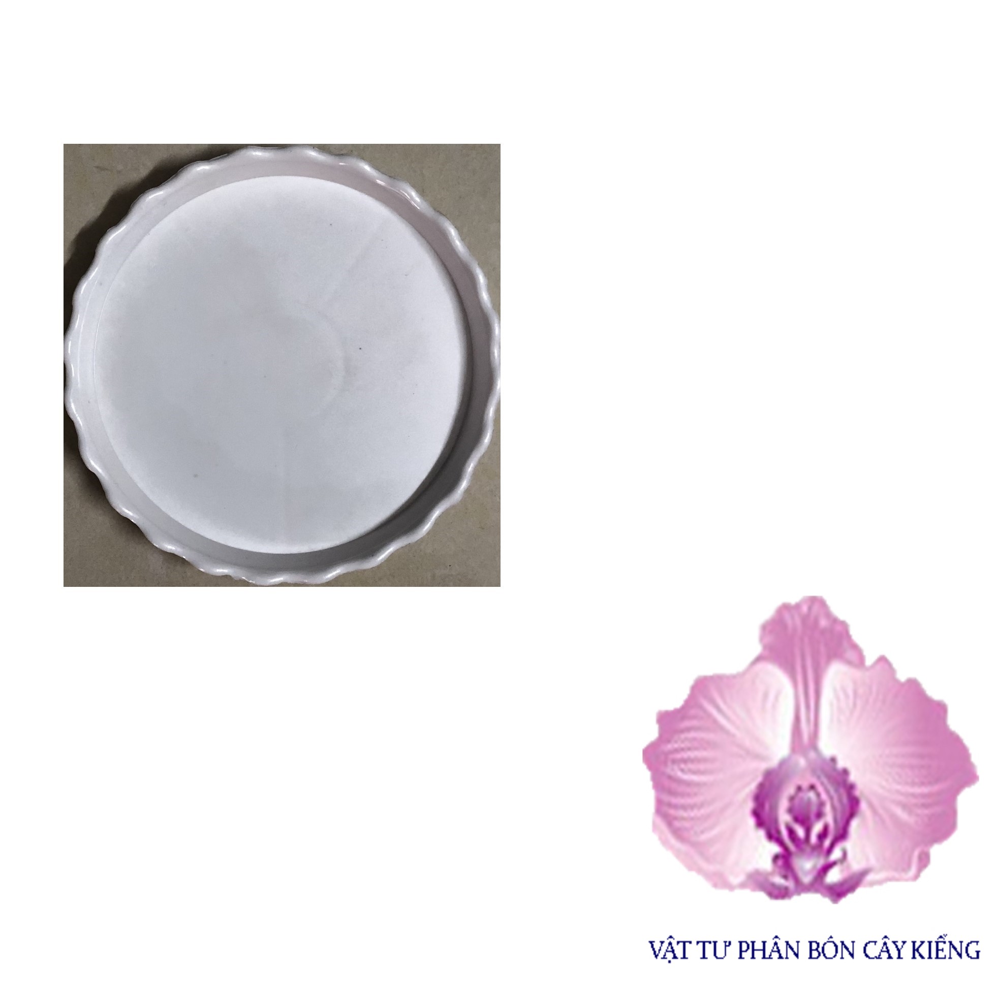 Đĩa lót chậu tròn khía 11cm - #047D#