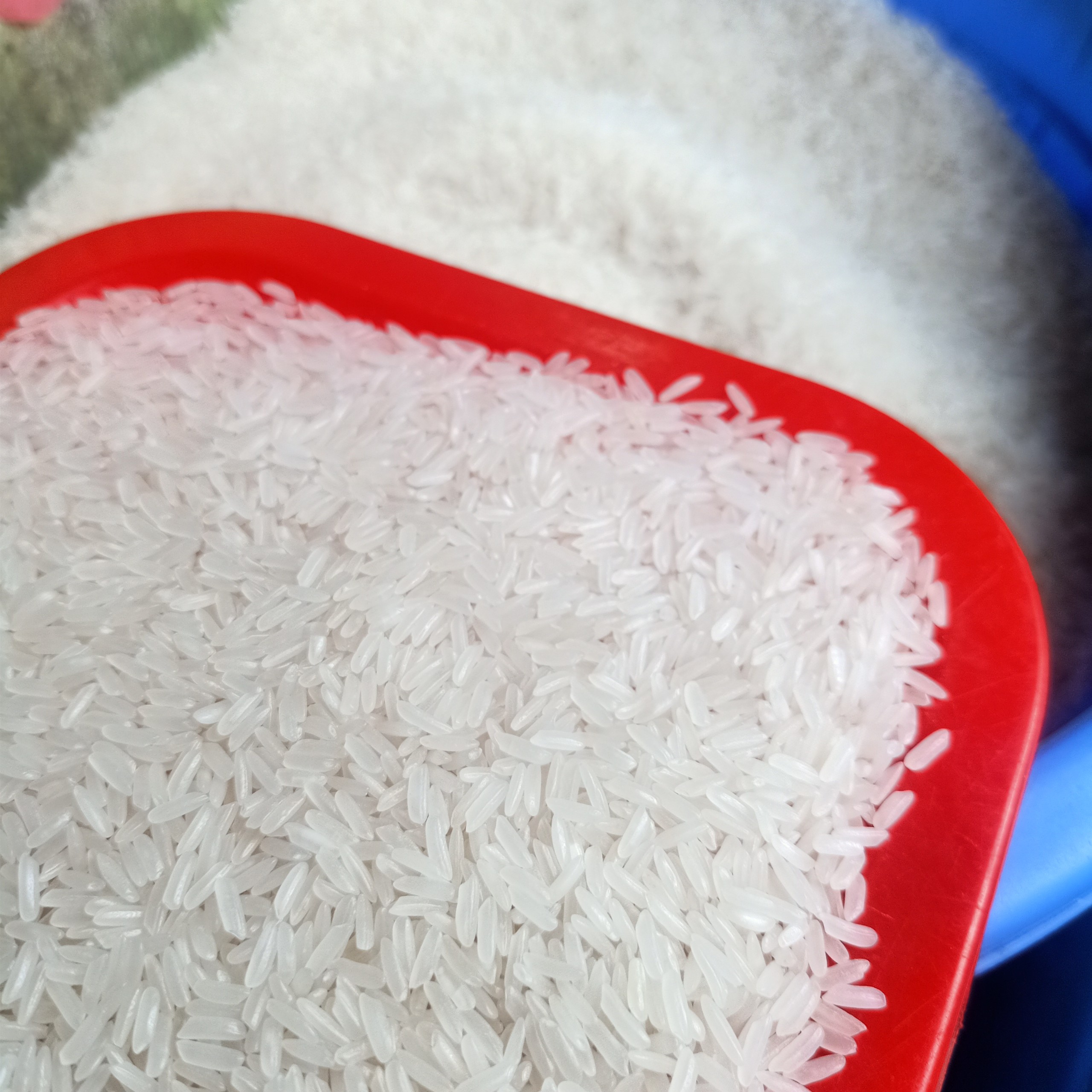 Gạo Bắc Hương ( túi 10Kg ) - Dẻo vừa, ngọt cơm