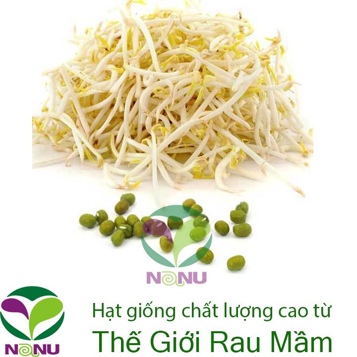 Gói 100g Hạt Giống Rau Mầm Đậu Xanh (Đậu làm Giá Đỗ)_ Thế Giới Rau Mầm
