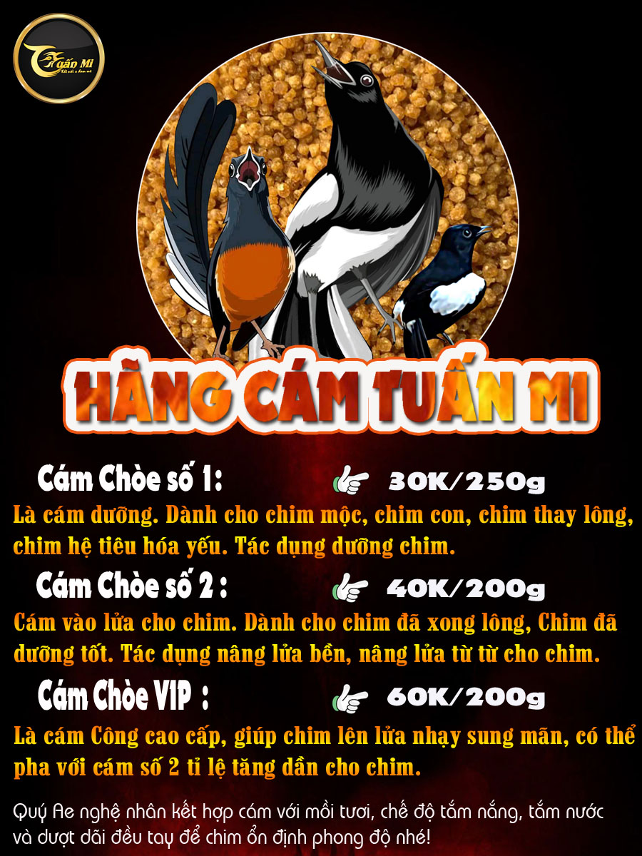 Cám Chòe VIP (căng lửa nhạy)