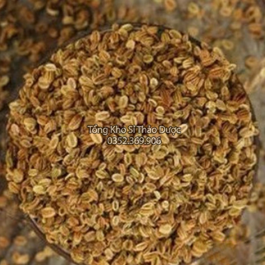 Dried Xasa Seed 100g