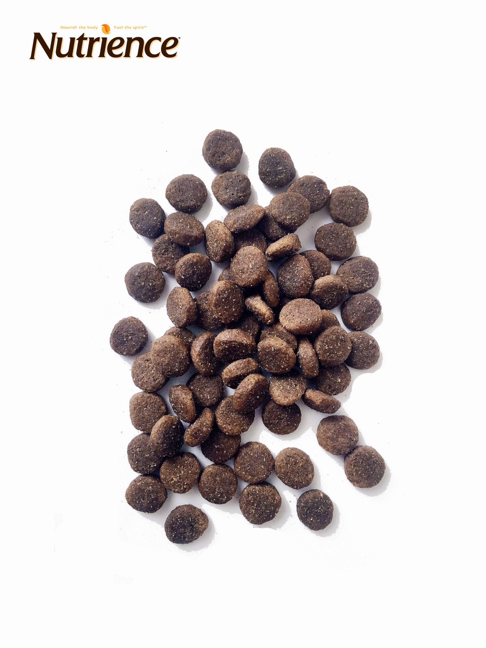 [HCM]NUTRIENCE CHO CÚN CON bao 500g