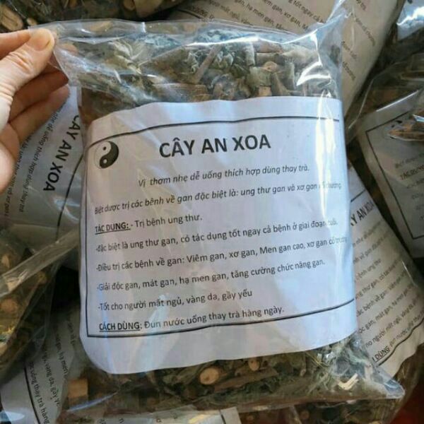 1kg cây an xoa