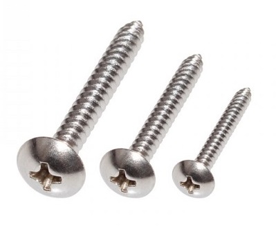 VÍT GỖ PAKE ĐẦU DÙ INOX - M6