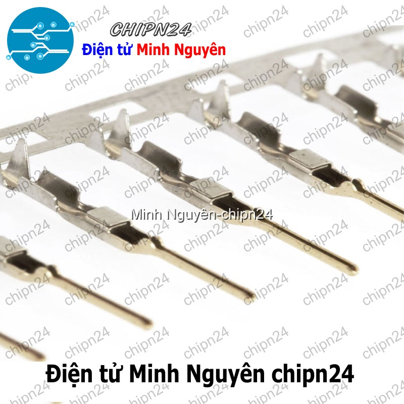 [25 cái] (I2) Lõi Header SM Dupont Đực 2.54mm (Dùng bấm đầu dây điện cho Dây cắm Testboard) - HH004995