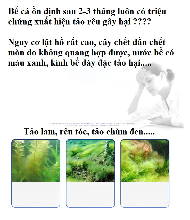 Dung dịch diệt rêu tảo hại Yee cho bể thủy sinh (tặng bông lọc)