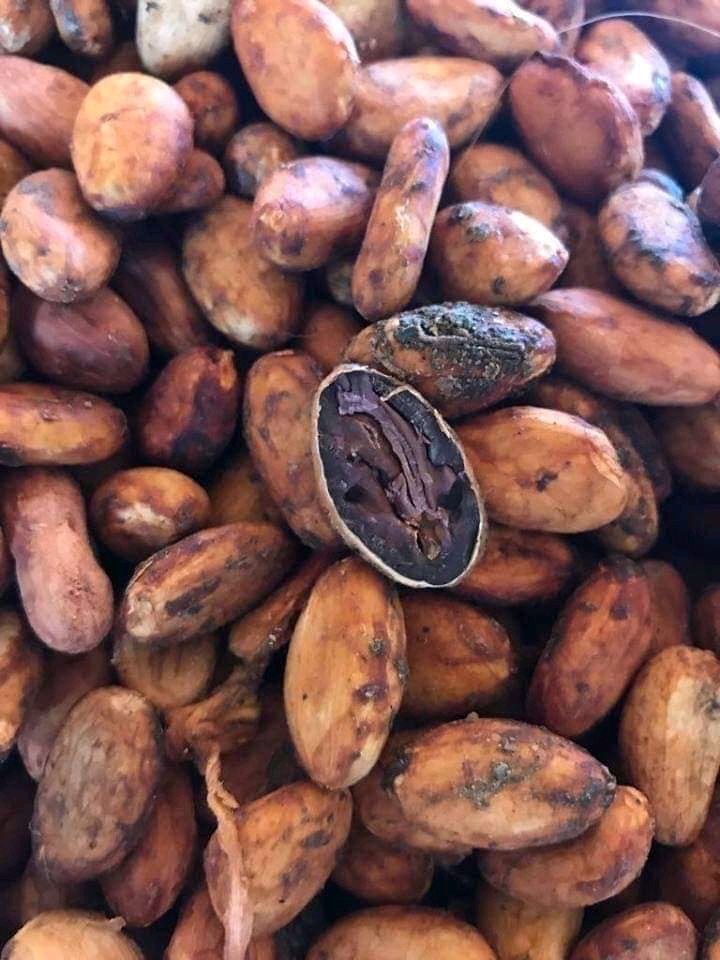 Bột ca cao nguyên chất, không đường, không pha trộn  (HÀNG CÔNG TY chính hãng)