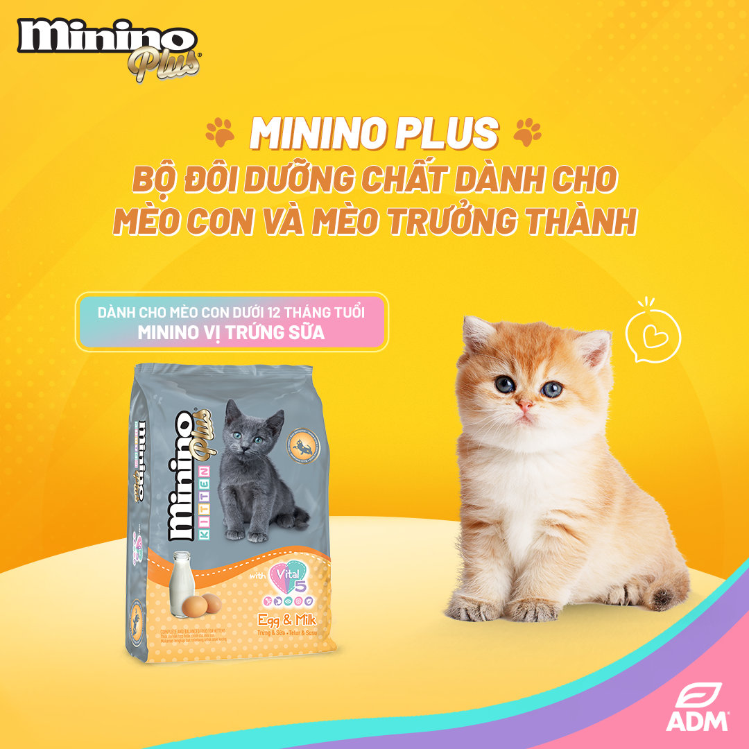 Hạt Cho Mèo Mọi Lứa Tuổi Minino Plus