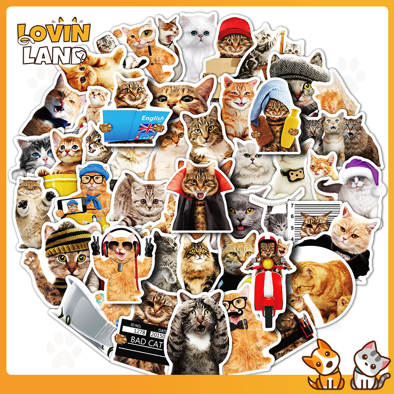 Lovinland Animals Stickers DIY Pet Dog Stick Label Cat Accessories 1pcs random