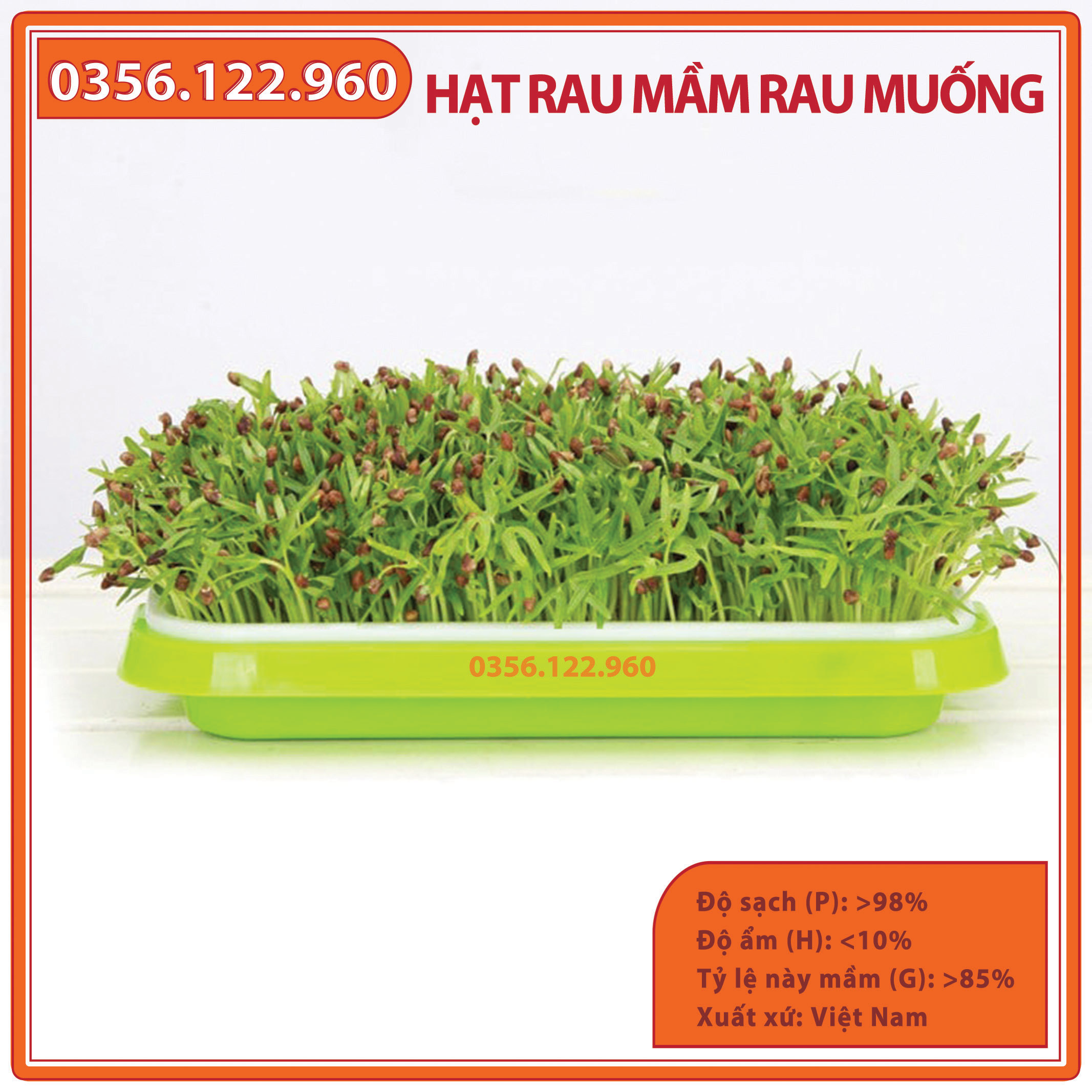 Hạt rau mầm rau muống - gói 100g