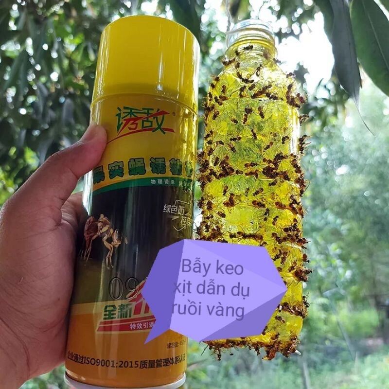 Chai xịt bẫy ruồi vàng 45ml