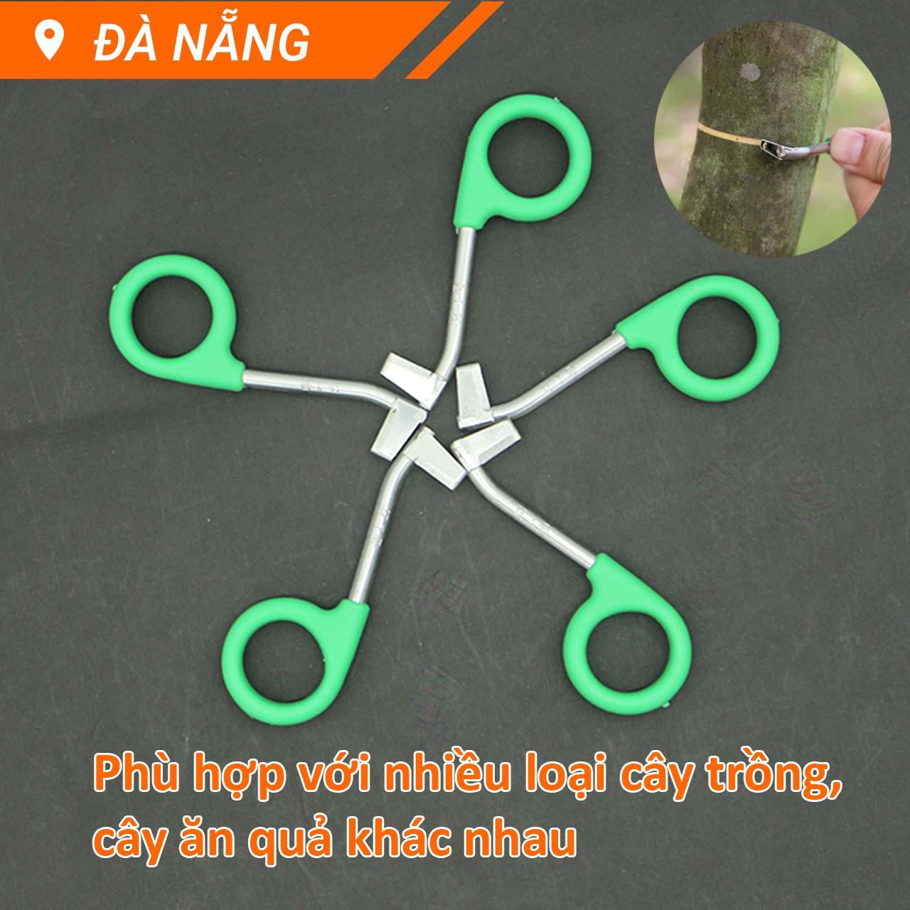 Khoanh vỏ cây trồng các cỡ