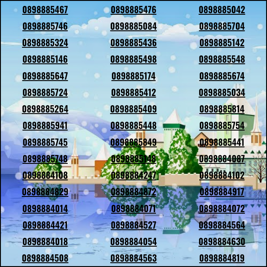 [HCM]Sim số đep tân gia