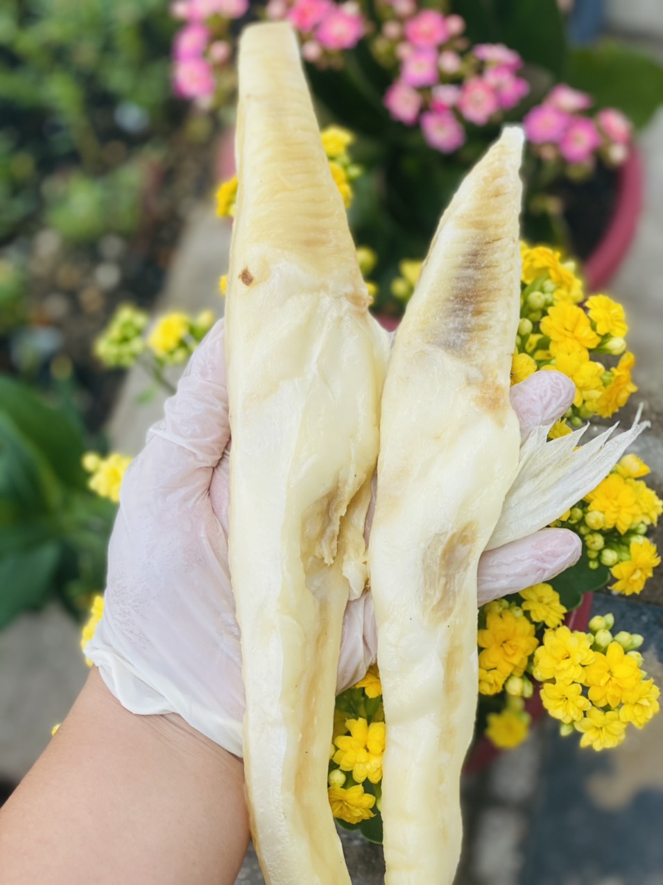 [GIAO NHANH 2H HCM] 1Kg Ức Cá BASA