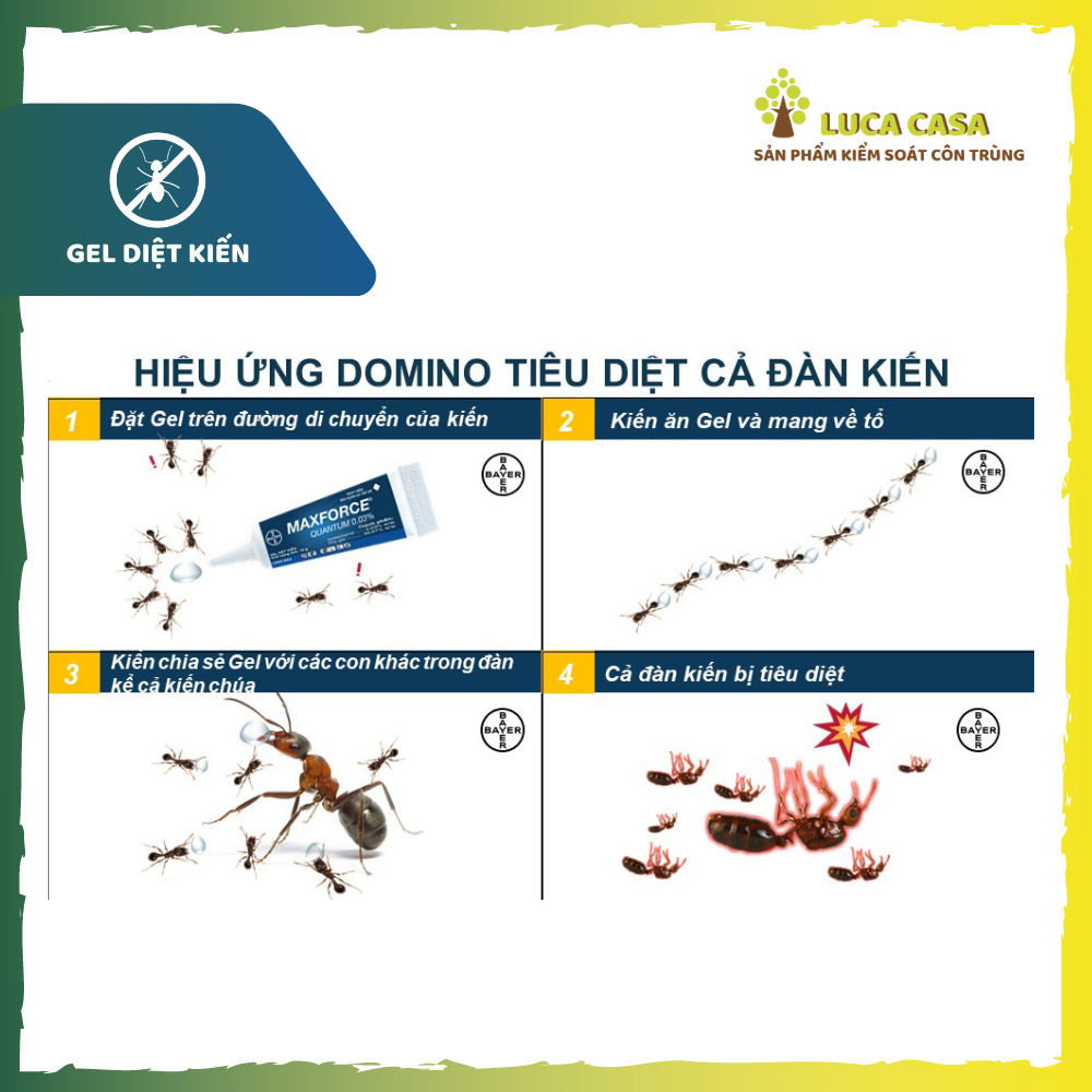 Combo 02 tuýp Diệt Kiến Maxforce Quantum Bayer 12g