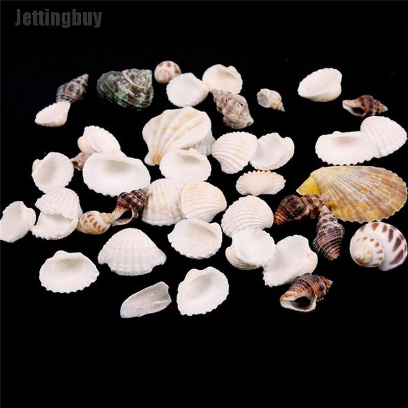 100g Beach Mixed SeaShells Sea Shells Shell Craft SeaShells Aquarium Decor Random