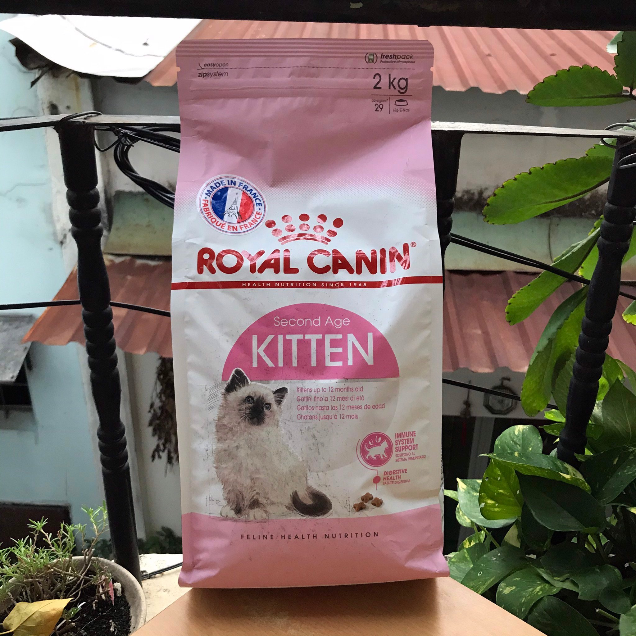 Thức ăn hạt cho mèo con Royal Canin Kitten - [Nông Trại Thú Cưng]