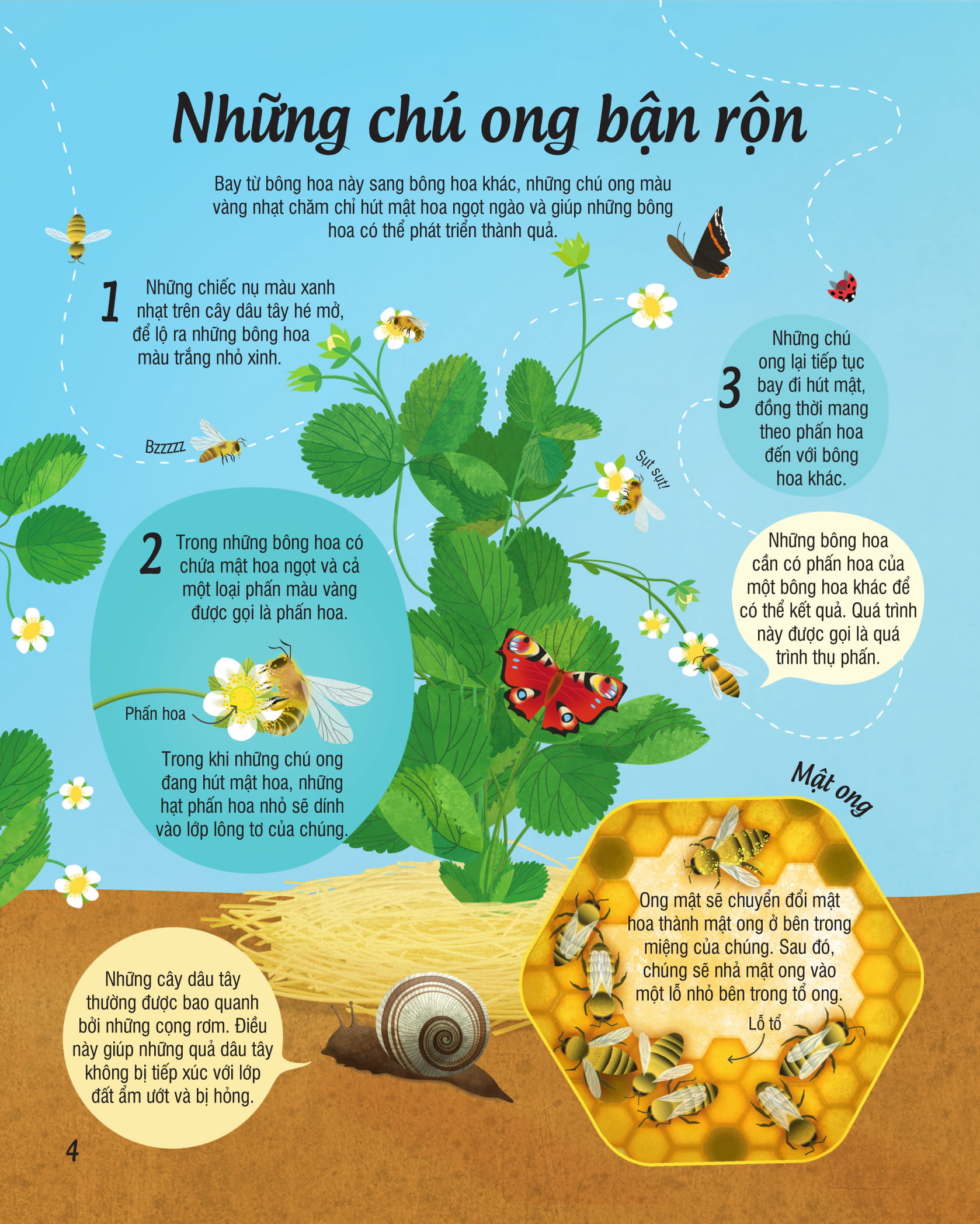 Fahasa - Cây Trồng Đến Từ Đâu?