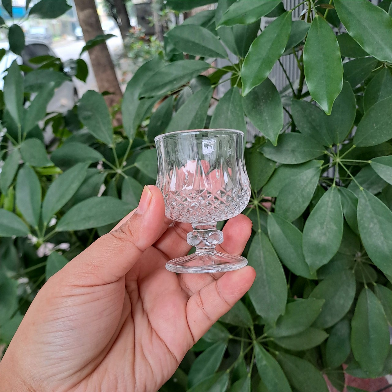 Ly thủy tinh pha lê uống r.ượu trắng dung tích 45ml
