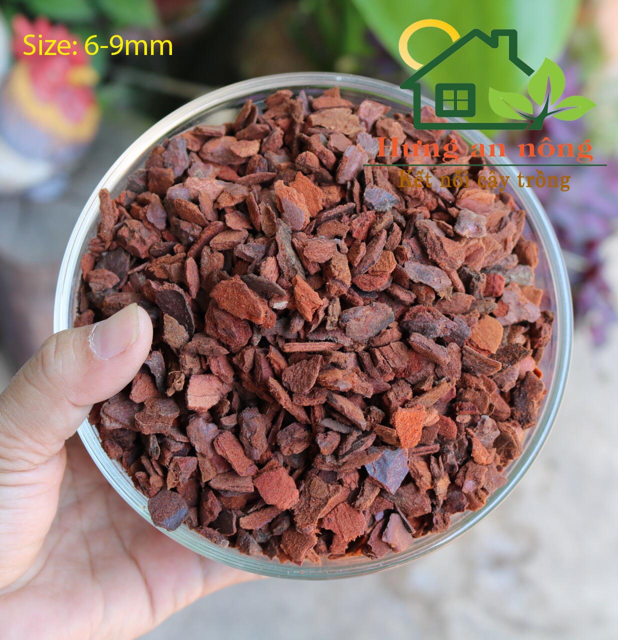 500g Vỏ Thông Orchiata New Zaeland giá thể trồng lan ươm kei trồng kiểng lá.