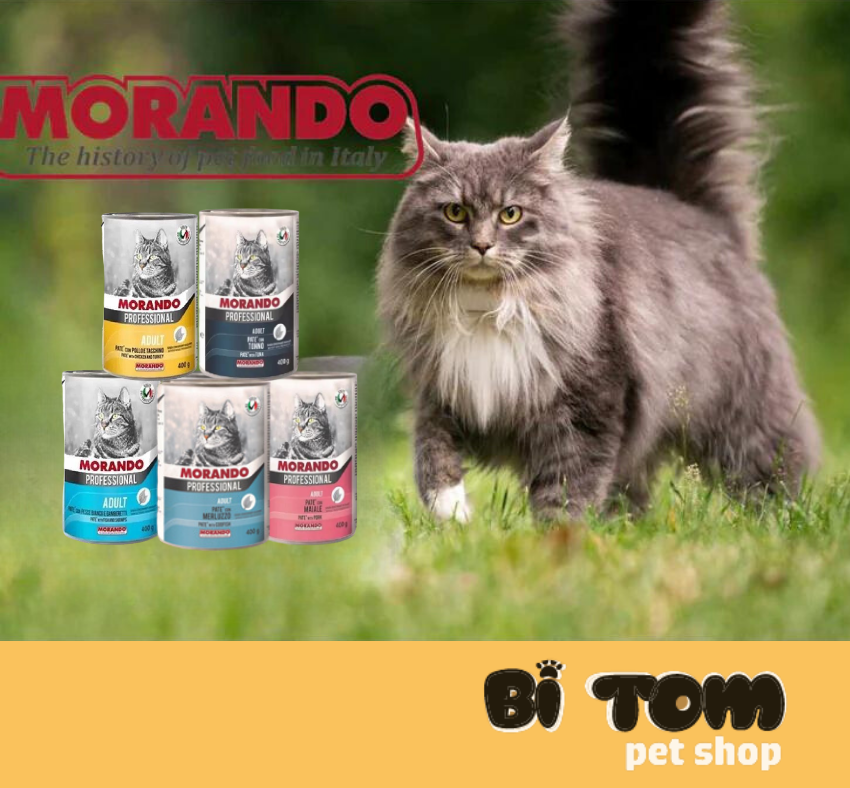 PATE CHO MÈO MORANDO 400G - NHIỀU VỊ