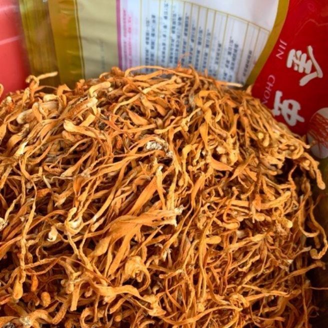 [HCM]nấm đông trùng thảo 100gr