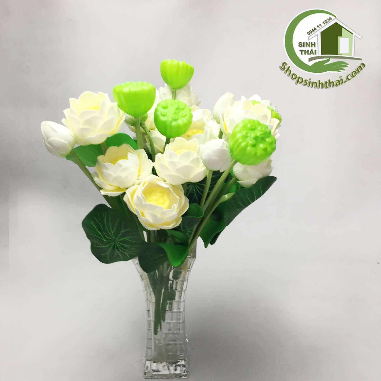 Bụi hoa sen nhỏ màu trắng