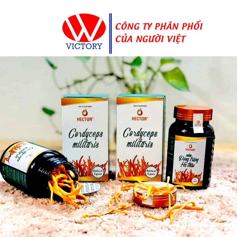 Đông Trùng Hạ Thảo Hector Sợi Sấy Thăng Hoa - Giúp Tăng Sức Đề Kháng & Bồi Bổ Sức Khỏe ( hộp 5gr ) - Victorypharmacy