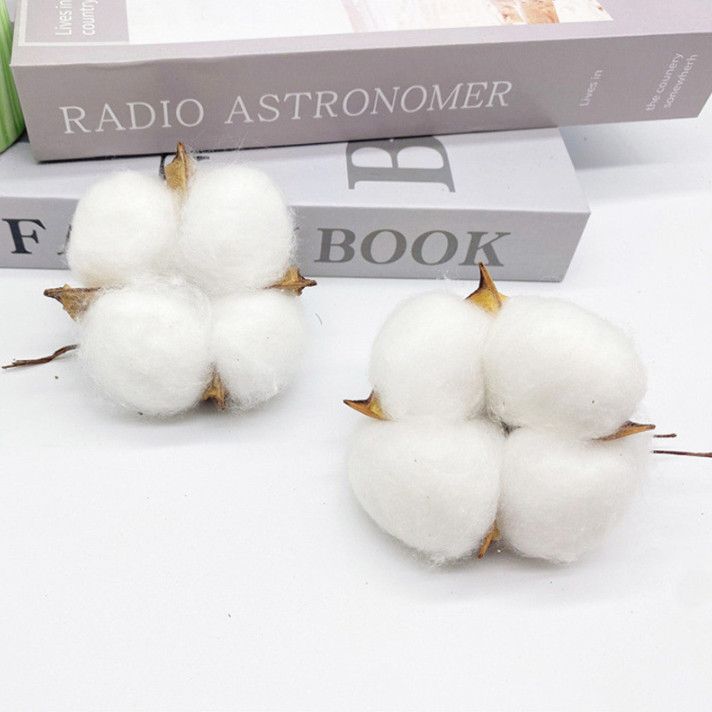 Hoa bông gòn trang trí – cành hoa bông gòn trang trí handmade