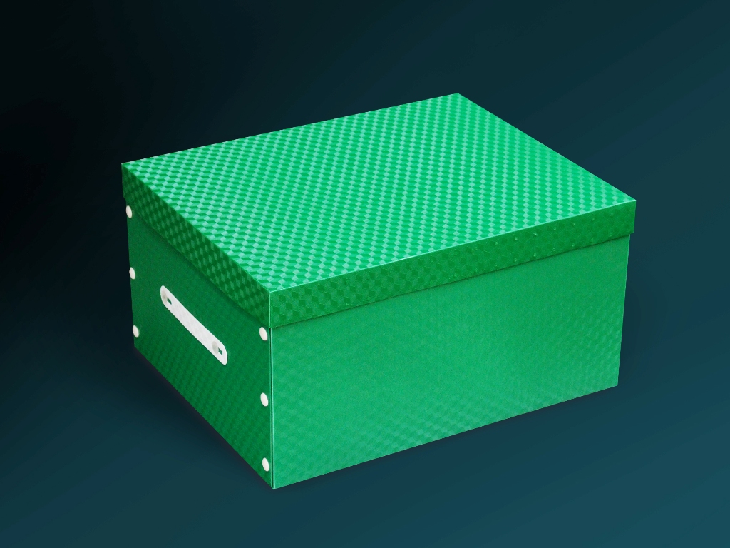 Hộp nhựa lưu hồ sơ A4 Data King Box File, LTT