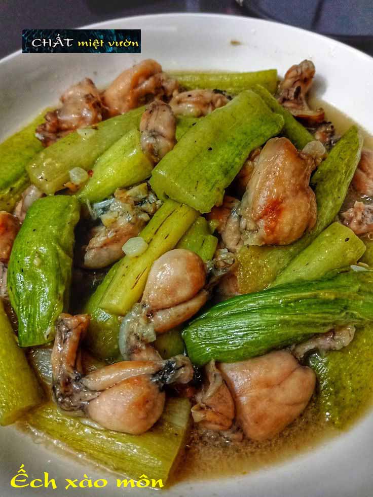 Combo 10 cây môn ngọt giống siêu bẹ/siêu ngó