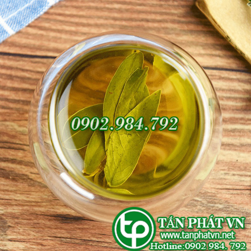 Phan tả diệp 500g