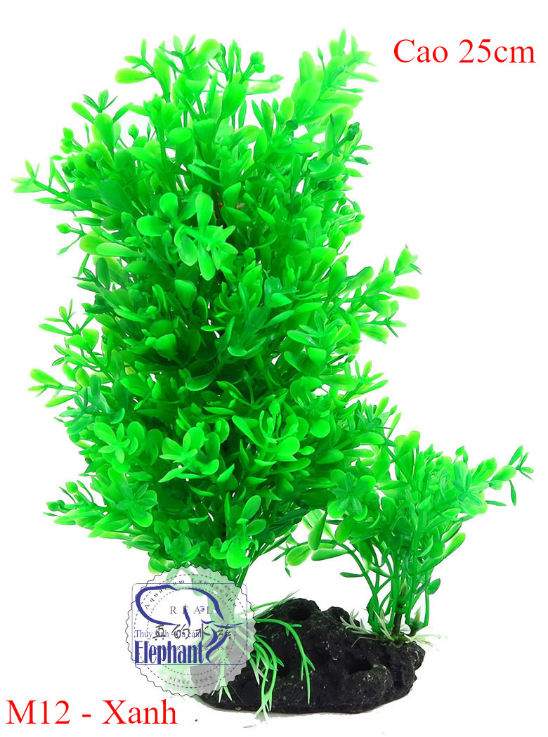 Cây nhựa trang trí hồ cá cảnh, hòn non bộ