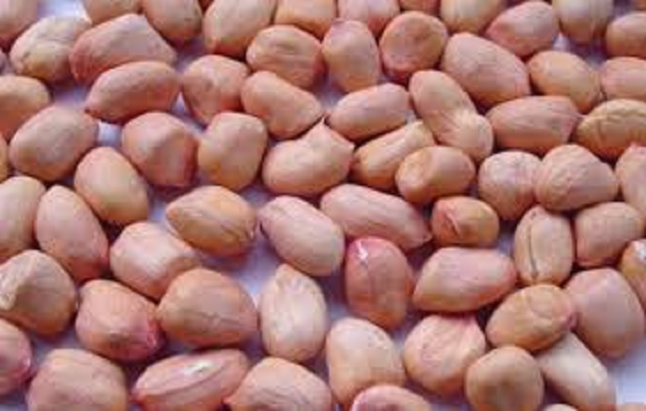 1kg đậu phộng
