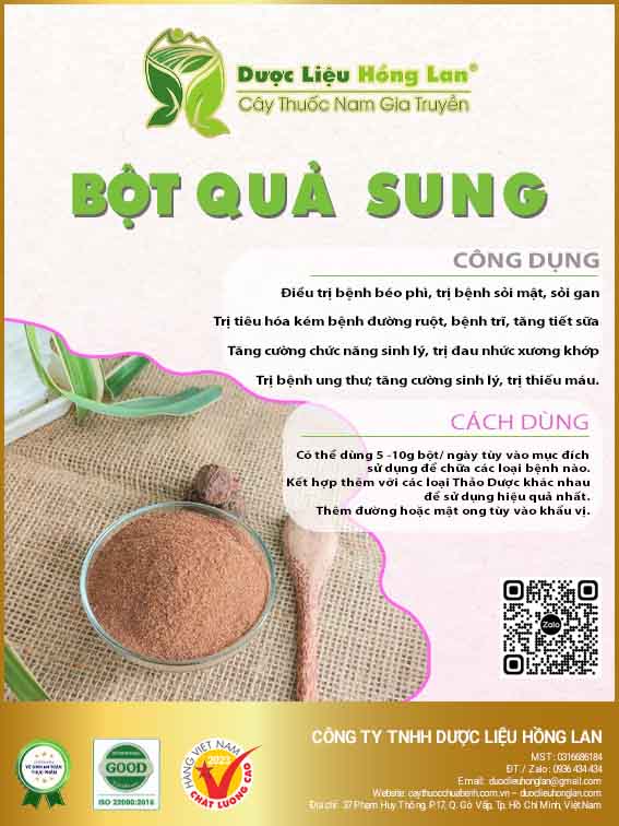 ✅ 500g bột quả sung nguyên chất loại 1