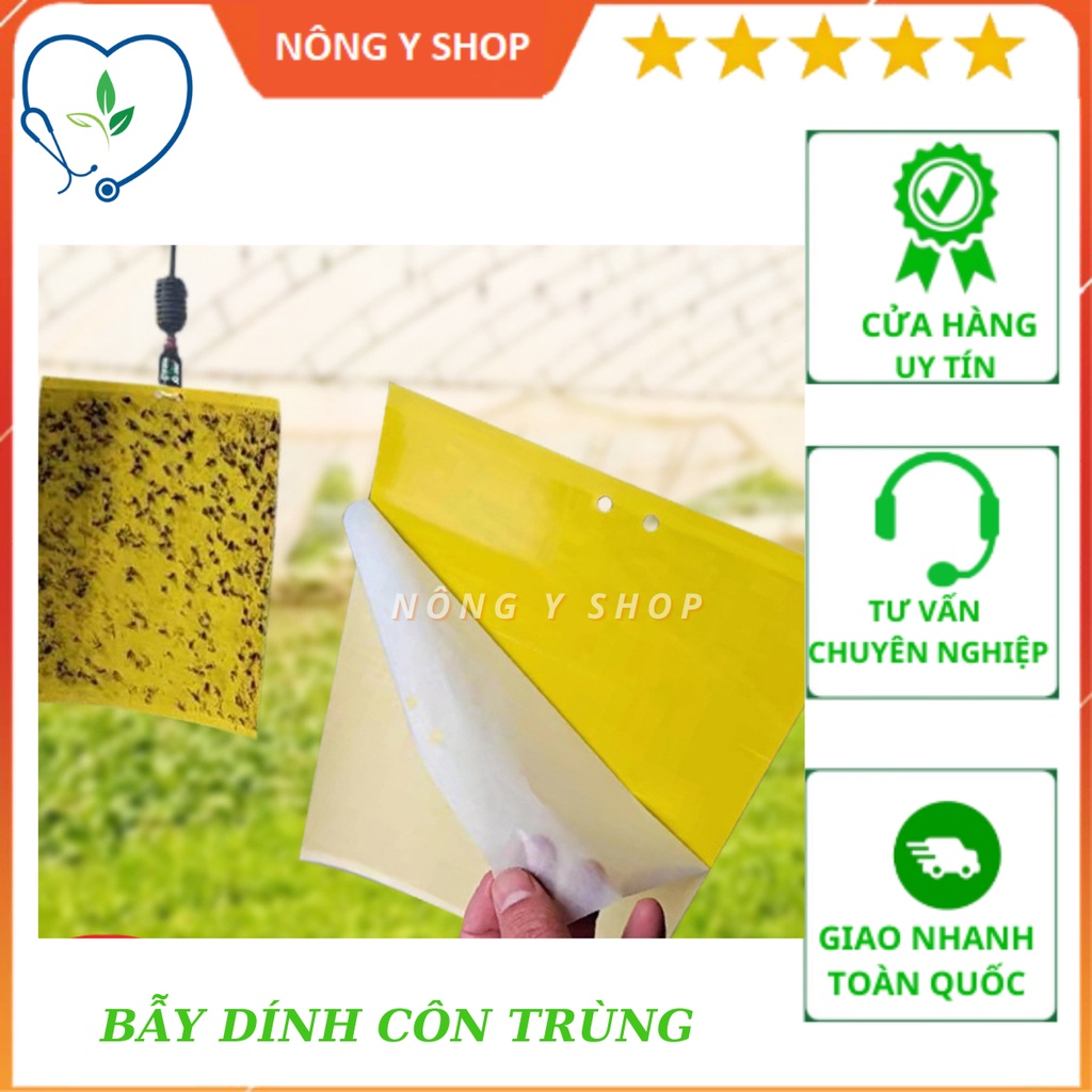 Miếng Dán Bẫy Côn Trùng, ruồi vàng, sâu bọ trong vườn cây 15x20cm, 20x25cm bẫy ruồi vàng, bẫy ruồi trái cây, ruồi đục trái