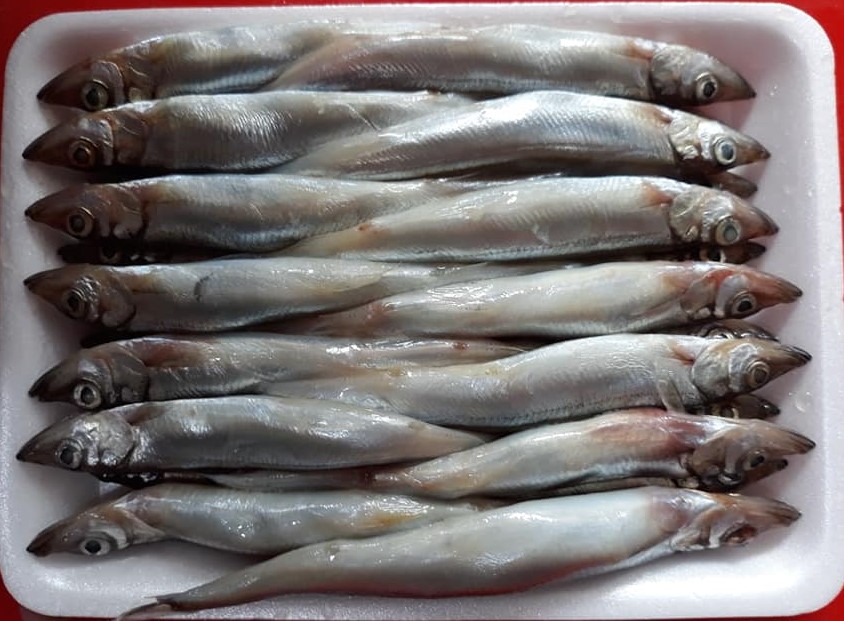 Cá Trứng 1KG Tươi Ngon 75% Trứng (Chọn Giao Hàng 2h giúp shop nha)