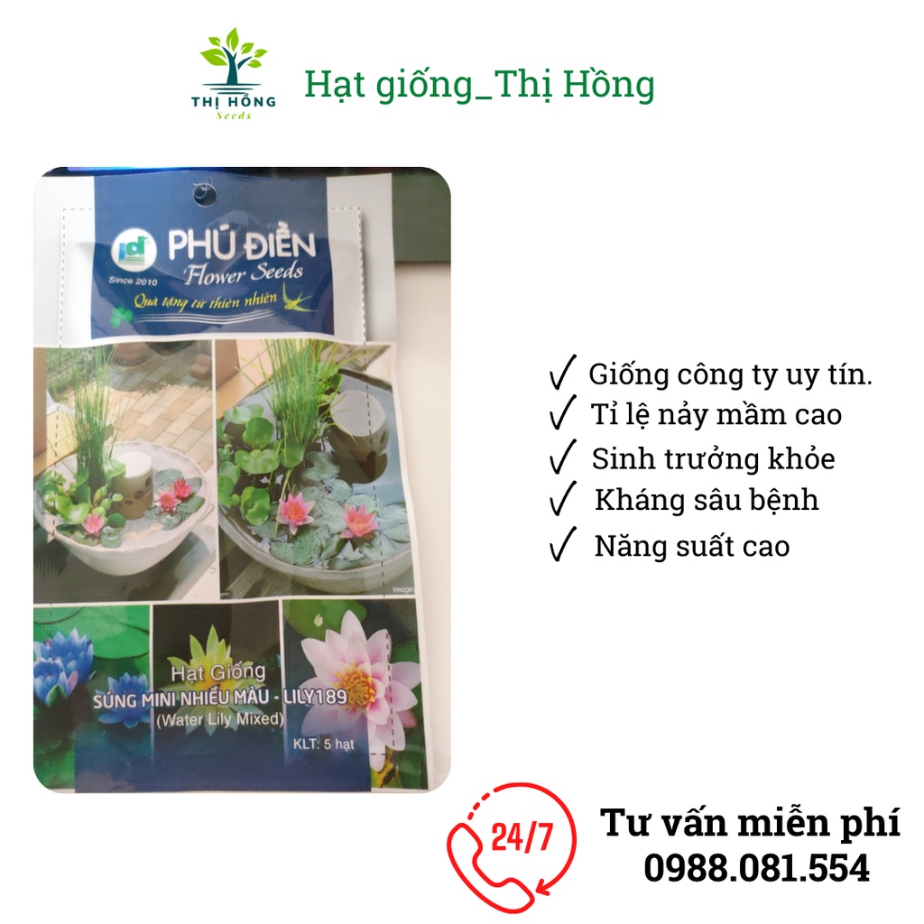 Hạt giống hoa súng mini nhiều màu 5H ( xuất xứ Nhật Bản)