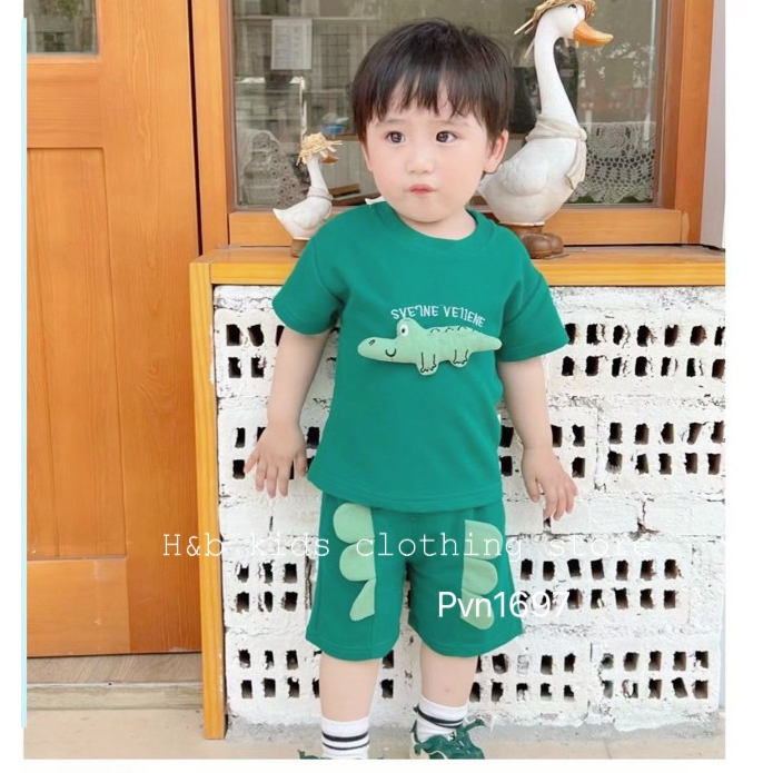 Sale set bộ cotton bé trai 8-18kg
