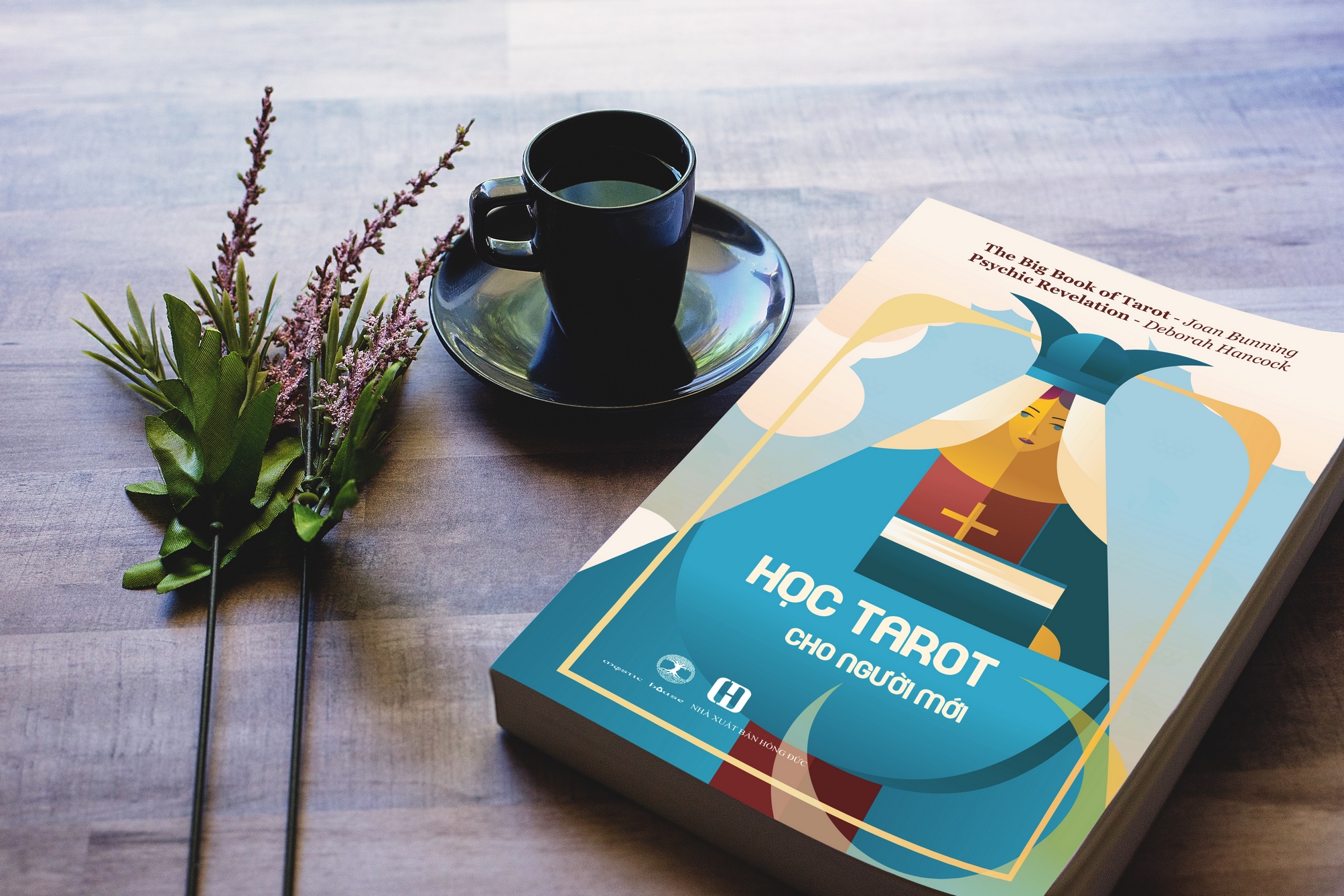 Tarot for Beginners (Vietnamese Edition)