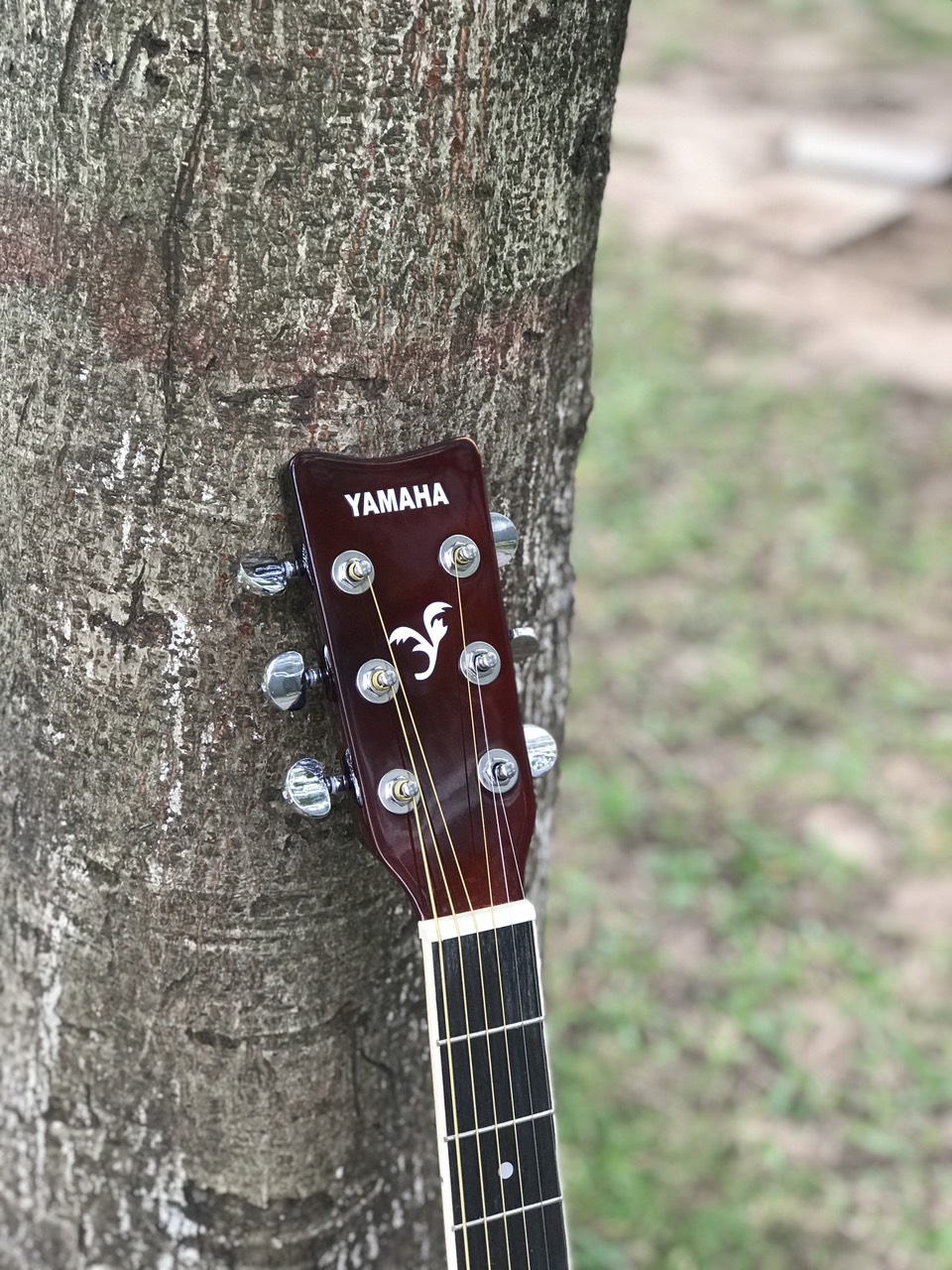Đàn Guitar Acoustic  Yamaha F3000-N Có Equalizer